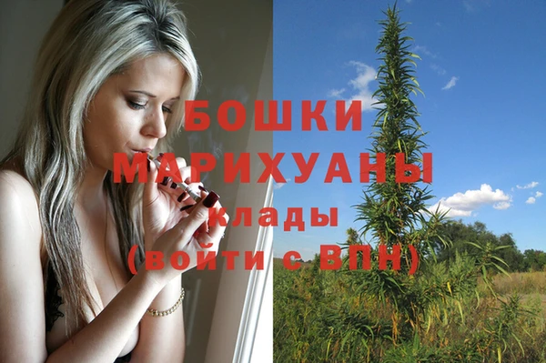 дмт Тында
