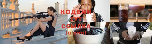 дмт Тында