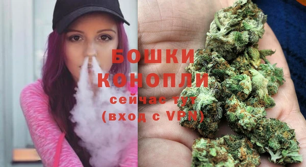 дмт Тында