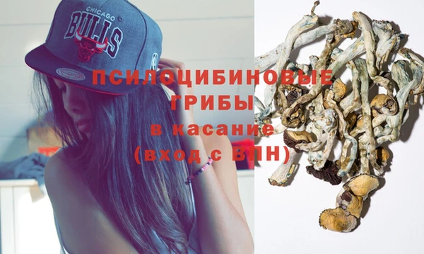 прущие грибы Уссурийск