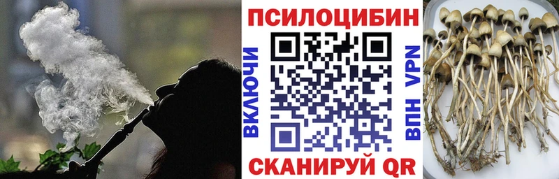 Галлюциногенные грибы Cubensis  где купить наркоту  mega вход  Чайковский 