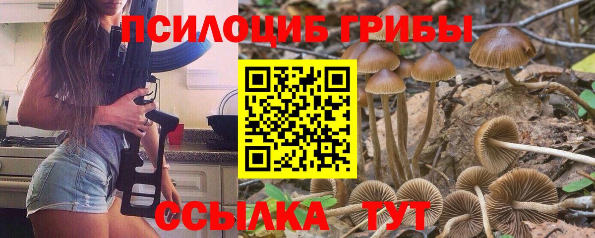 Чайковский  Псилоцибиновые грибы ЛСД  Вход с VPN  Псилоцибиновые грибы ЛСД 