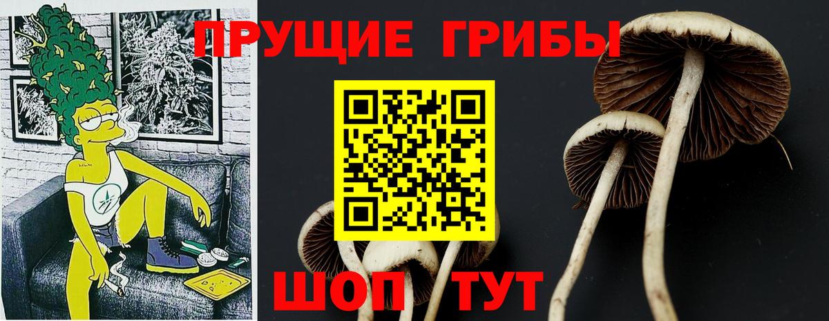 Псилоцибиновые грибы мухоморы Чайковский