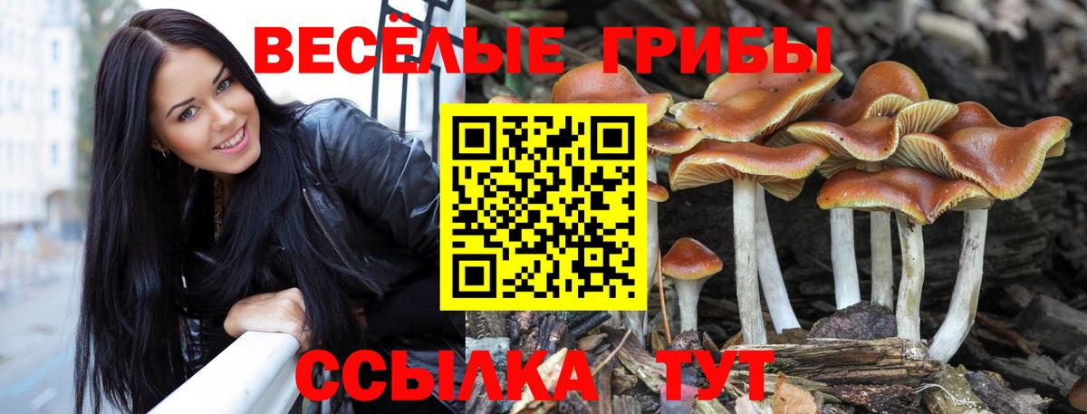 Галлюциногенные грибы прущие грибы  Чайковский 