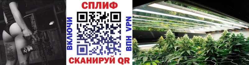 Марихуана план маркетплейс телеграм Чайковский